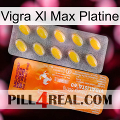 Vigra Xl Max Platinum new05